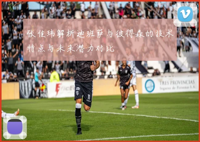 张佳玮解析迪班萨与彼得森的技术特点与未来潜力对比